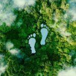 What's the Ecological Footprint of Your Private Practice?